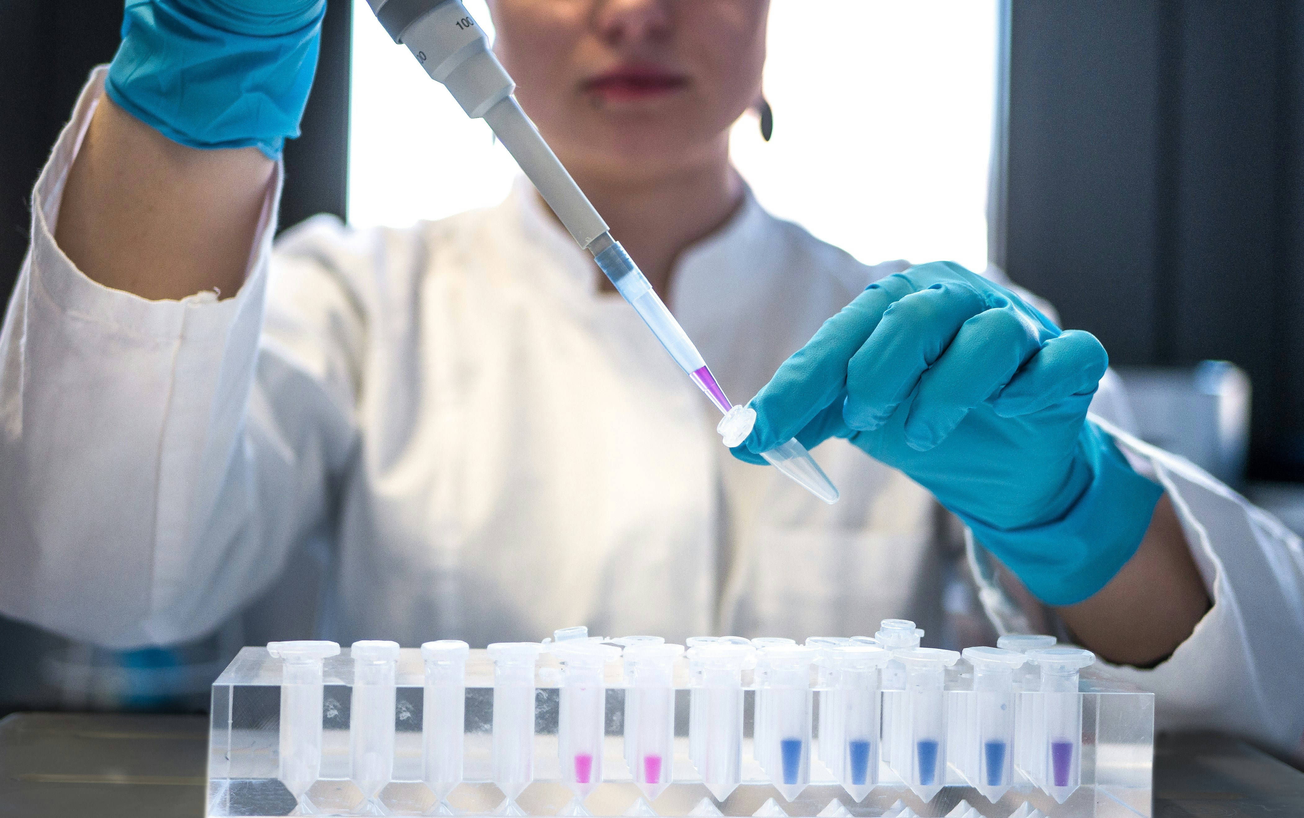 Laboratory researcher pipetting samples for BPC-157 tissue repair study